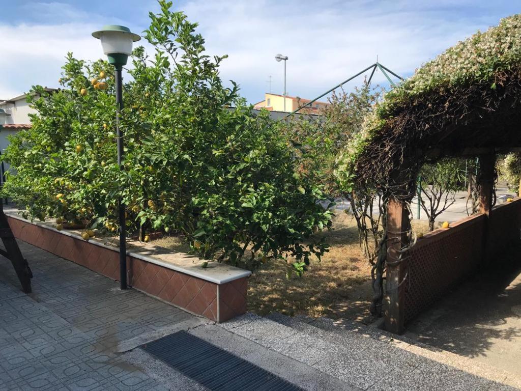 Mary Rose Bed and Breakfast Castel Volturno Exteriör bild